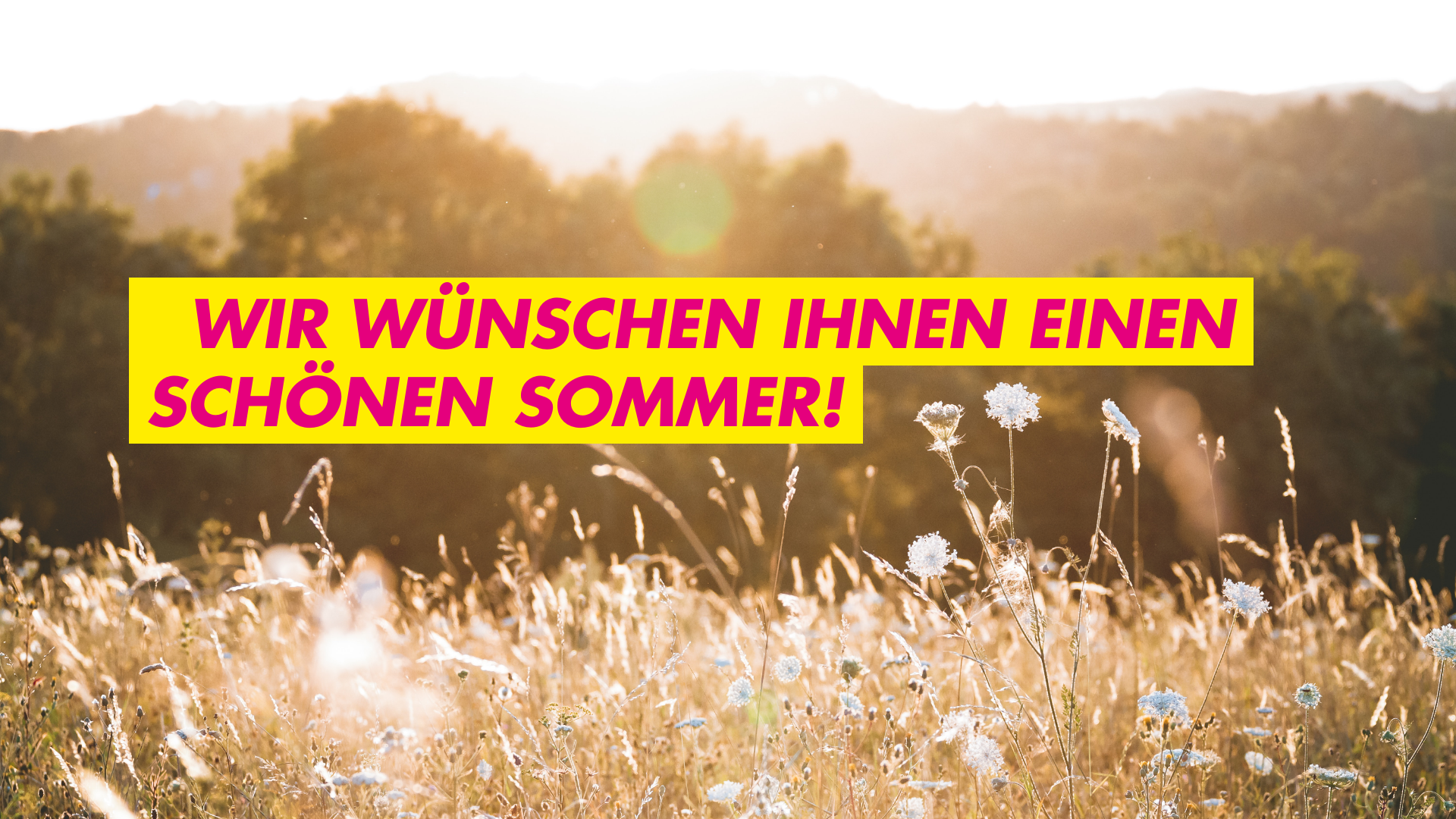 Wir wünschen Ihnen einen schönen Sommer!